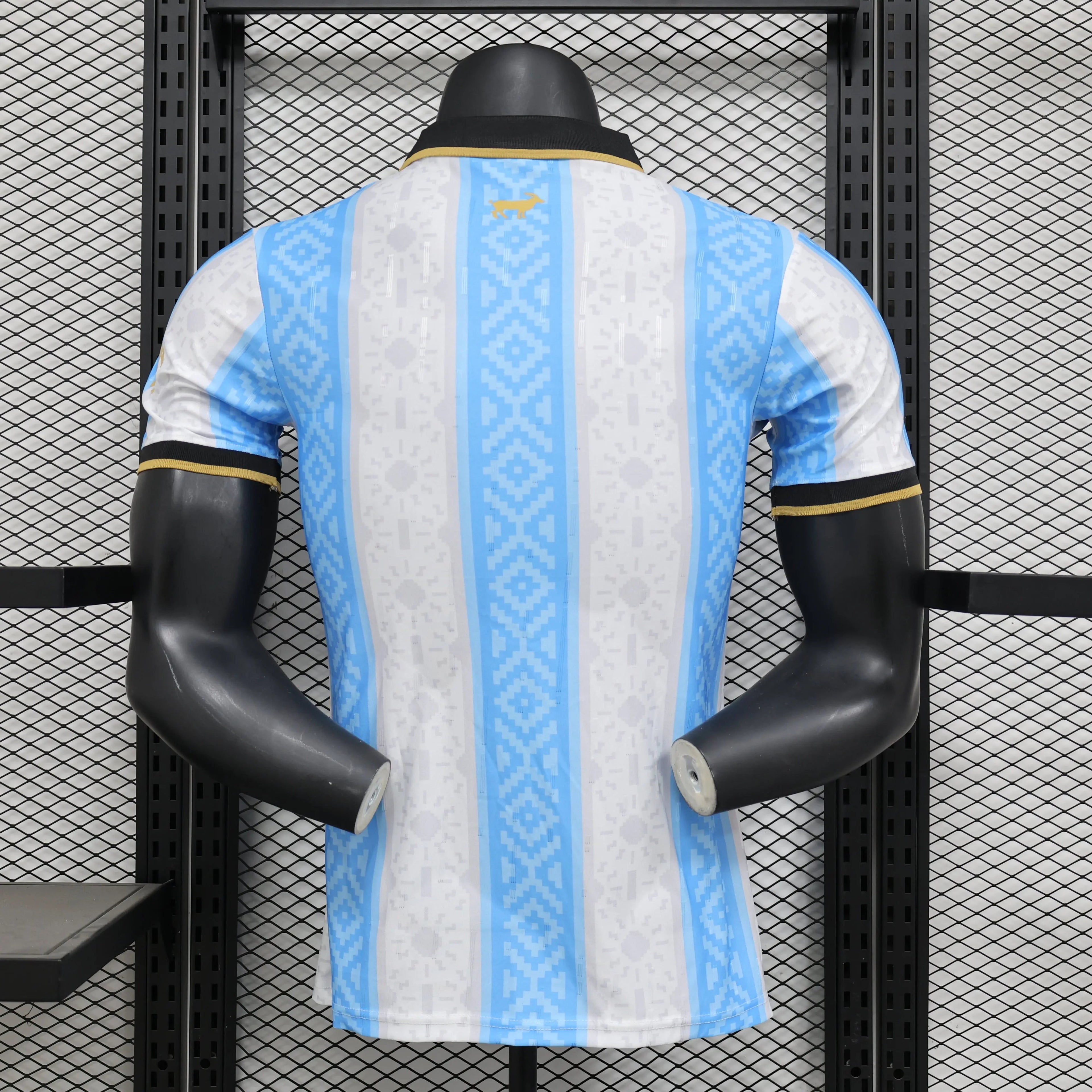 Maillot 24/25 Argentine Spécial
