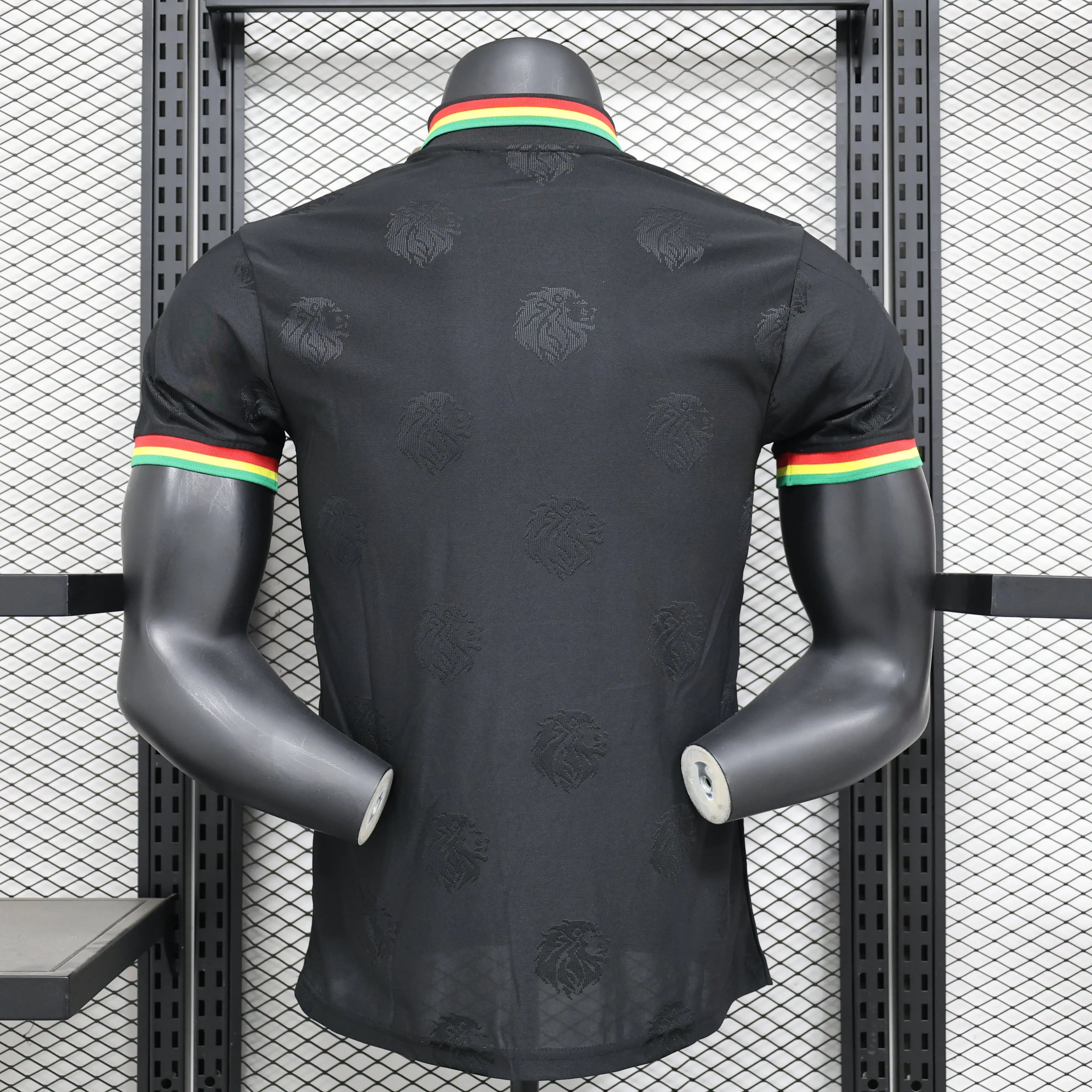 Maillot PLAYER 24/25 Sénégal Spécial