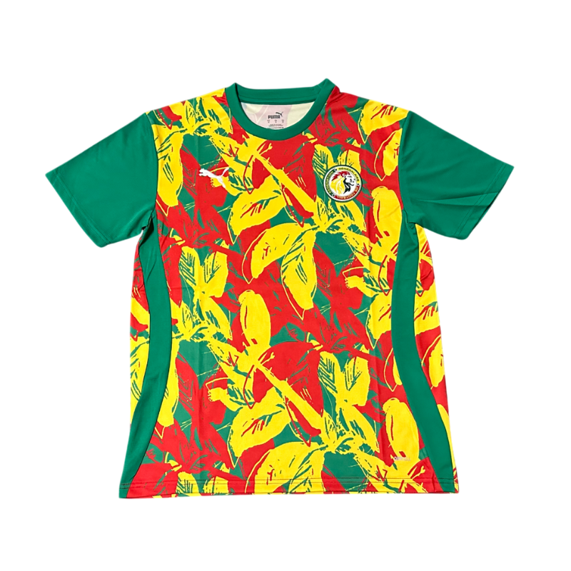 MAILLOT SENEGAL 2026